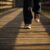 sneakers-walking