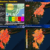 Severe weather maps
