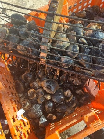 James T White Clam Depuration Plant